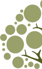 Logo Gspace